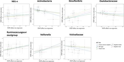 Correlations between gut microbiota and lichen planus: a two-sample Mendelian randomization study